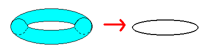 membrane