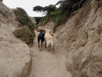 'til next time Fort FUNston!
